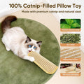 PetZen Garden Sisal Catnip Pillow Toy Kickers, 2 Pack Interactive Catnip Toys with Organic 8000mg Herbal Blend for Indoor Scratching, Chewing & Teething, Fun for Kittens and Adult Cats