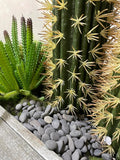 Black Rock, CJGQ 18lb River Rocks Pebbles for Plants Succulents, Decorative Outdoor Landscaping Garden Rocks, Natural Sm