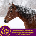 Farnam Horse Health Red Cell Pellets, Vitamin-Iron Mineral Supplement for Horses, Iron Horse Supplement, 4 Lbs., 64-Day 