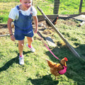 Adhafera Chicken Harness with Leash, Upgraded Double Adjustment Chicken Harness and Leash Set for Hens, Duck, Goose, Sma