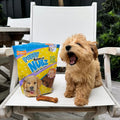 Nylabone Nubz Puppy Dog Treats, Turkey & Sweet Potato Flavor, 28 Count