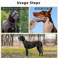 Adjustable Dog Collar, Large Pinch Collar for Dogs, 3.5mm, 19.6-Inch