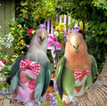 6Pcs Bird Diapers Bird Harness Flight Suits Diapers Reusable Parrot Nappy with Waterproof Inner Layer Washable Cute Urin