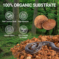 REPTI ZOO 72 Quart Reptiles Coconut Chip Substrate, Coco Husk Reptiles Bedding for Ball Python, Snakes, Geckos, Lizards,