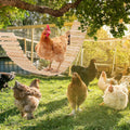 Jorewood Chicken Coop Toy Natural Wooden Chicken Swing & Bridge Toys Multi-Functional Poultry Perch with Wooden Beads (Safe for Chickens/Ducks)