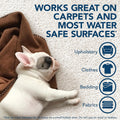 Simple Solution Extreme Stain & Odor Remover, Enzyme Stain Cleaner, Gallon