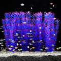 Purple 4pcs
