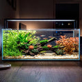 6.6 Gallon Rimless Low‑Profile Aquarium, Long Shallow Rimless Fish Tank
