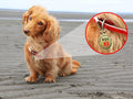 ESA Small Breed Emotional Support Animal Tag, Red, .999 Inch ID Tag