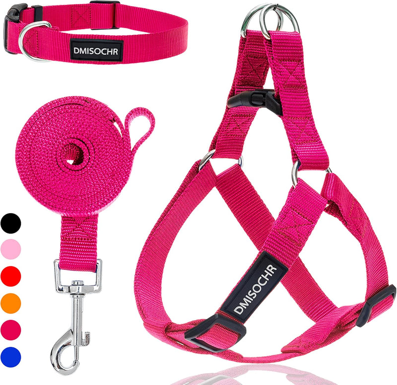 No Pull Dog Harness, Leash & Collar Set, Adjustable Step-in Vest