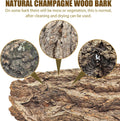 VCEPJH Reptile Bark Bedding,1 LB Natural Cork Bark for Reptiles Flat Cork Wood Terrarium Substrate Tank Supplies for Sna