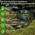 Riare 8OZ Sphagnum Moss for Reptiles- 10QT Natural Reptile Moss Bedding