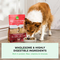 Open Farm Ancient Grains Dry Dog Food, Wild Caught Salmon Kibble, 22lb Bag