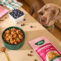 Jinx Beef Grain Free Wet Dog Food Toppers, Homemades 6 Pack, 9oz