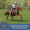 Farnam MaxFlex XR Extended Release Joint Supplement for Horses, Provides a continuous supply of joint health ingredients