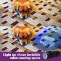 Simple Solution Spot Spotter HD UV LED Urine Detector, Dog Urine Stains, Blacklight Flashlight to Find Pet Urine Stains and Odors on Carpet and Furniture, 1 Light