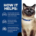 Hill's Prescription Diet z/d Skin/Food Sensitivities Dry Cat Food