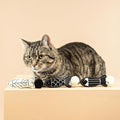 Fringe Studio, Off THE Scales Durable Cotton Canvas Cat Toy, 3PCS Set, PetShop Collection (904028)