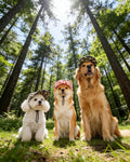 PET SHOW Camouflage Dog Baseball Cap for Extra Small Doggies Cats
