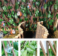 Reptile Hermit Crab Climbing Wall Toy Bearded Dragon Climb Tank Accessories