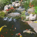 Tetra Pond Sticks Fish Food For Goldfish & Koi, 3.70 lbs