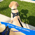 Copatchy No Pull Reflective Adjustable Dog Harness With Handle- Comfortable Soft All Weather Mesh, Easy On Puppy Harness For Small Medium and Large Dogs (Blue) Small