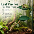 Tree Frog Tank Accessories Water Dish, 4-Piece Leaf Perch Set (Decor Bowl)