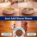 Solid Gold Dehydrated Chicken & Pumpkin Dog Food - Just Add Water Makes 4LB