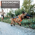Non-stop dogwear Freemotion Harness 5.0 Dog Pulling Harness for Sports Like Running, Biking and Skiing with Dogs, Profes