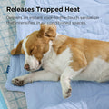 Bedsure ArcticMax™ Q-MAX>0.5 Premium Cooling Blanket for Medium Dogs，30x40