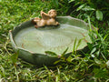 Bakayoyo 9.45inch Ceramic Ground Bird Bath Bowl for Outside, BirdBath Bowl Only, Ground Bird Feeders and birdbath for Outdoors, Tabletop，Balcony and Garden(Angel)