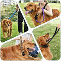 PetBonus Heavy Duty Short Dog Leash, 12" Nylon Lead with Quick Release Clip