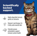 Hill's Science Diet Sensitive Stomach & Skin Wet Cat Food