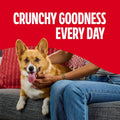 Milk-Bone Peanut Butter Flavor Biscuits, Small Dog Treats, 7 Lb.