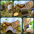 Hermit Crab Accessories – 5PCS Natural Hermit Crab Toys Climbing Bridge, Shells, Coconut Hideout, Moss and Plants for He