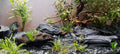 Natural Slate Stone 5 to 7 Inches - USA Sourced and Packaged for Aquascaping Aquariums, Terrariums, Paludariums, Reptile
