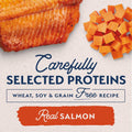 Natural Balance Limited Ingredient, Sweet Potato & Salmon, 13 oz, 6 Pack