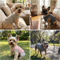 3Pack Dog Shirt Cotton Striped T-Shirts Stretchy Comfortable Pet Vest for Puppy and Cat Super Soft Dog Shirts Vest Sleeveless Breathable Basic Clothes for Small Medium Large Boy Girl Dogs
