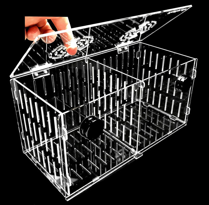Magnetic Acclimation Box Fish Breeder Nursery Isolation Tank