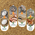 BUCATSTATE Dried Black Soldier Fly Larvae for Chickens and Ducks