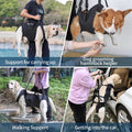 Full Body Lift Harness for Dogs,Canine Support Rehabilitation Dog Carrier Slings with Handles,Adjustable Lifting Straps 