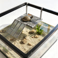 Large Floating Turtle Basking Platform,turtle dock&tank accessories