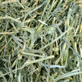 Oxbow Alfalfa Hay, Rabbit & Guinea Pig Hay, Hand-Sorted, De-Dusted, 40 oz