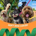 12 Pack Bulk Dog Leashes, 6FT Pet Lead Leash with Swivel Hook