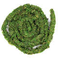 Galápagos (05266) MossVine, Real Moss Vine, 12FT, Green