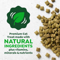 Greenies Cat Treats, Feline Smartbites, Skin & Fur Health, Crunchy and Soft Cat Treats, Salmon Flavor, 4.6 oz. Pack