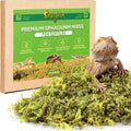 Sphagnum Moss for Reptiles & Plants, 3.5 OZ Terrarium Moss Bedding