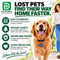Pet Dwelling Elite Pro Pet ID Tag with Smart QR | Real-Time Scan Alerts | Dual Ring Attachment | Digital Pet Profile