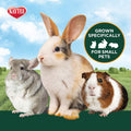 Kaytee All Natural Timothy Hay Plus Carrots for Guinea Pig & Rabbit