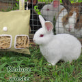 Cute Hanging Rabbit Hay Feeder Bag, Guinea Pig Hay Bag, Bunny Feeders Holder Storage For Small Pets Bunnies Chinchilla H